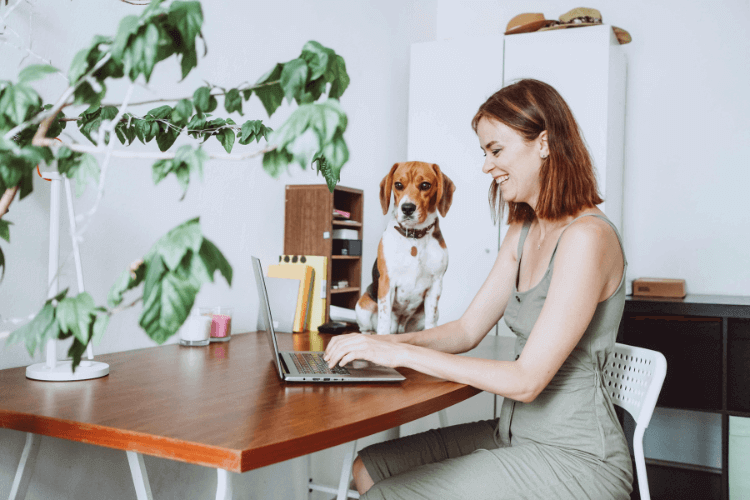How Can My Business Help Fight Climate Change - Blooming Haus - Embracing A Climatic Change In Office